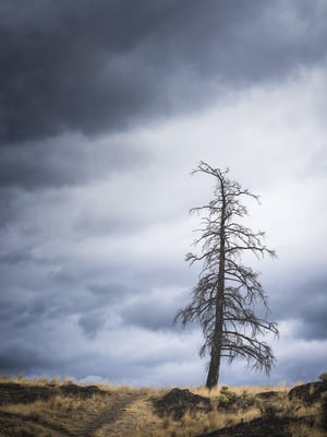 B.C. Wildfire Remains, Canada