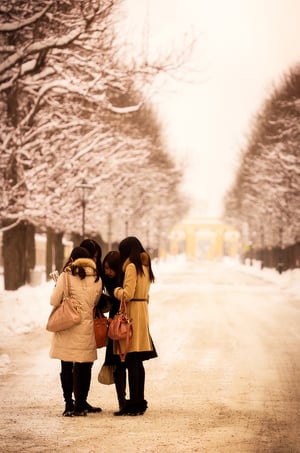 Looking for Schönbrunn Palace, Austria