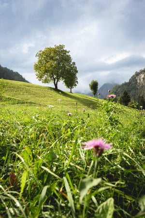 Passeier Valley, Italy
