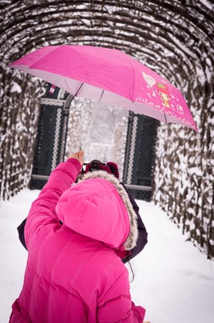 Vienna Pink Umbrella, Austria
